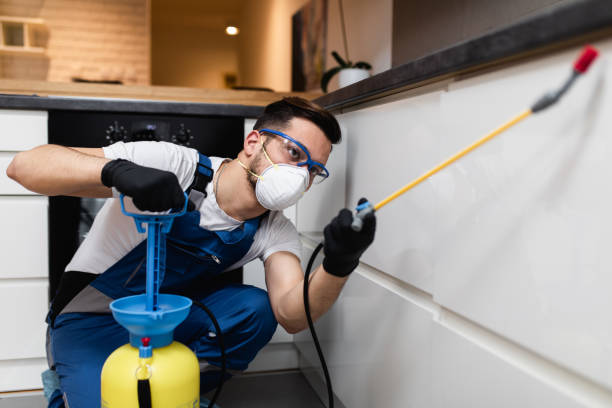Best Termite Control Services  in Middlebury, IN
