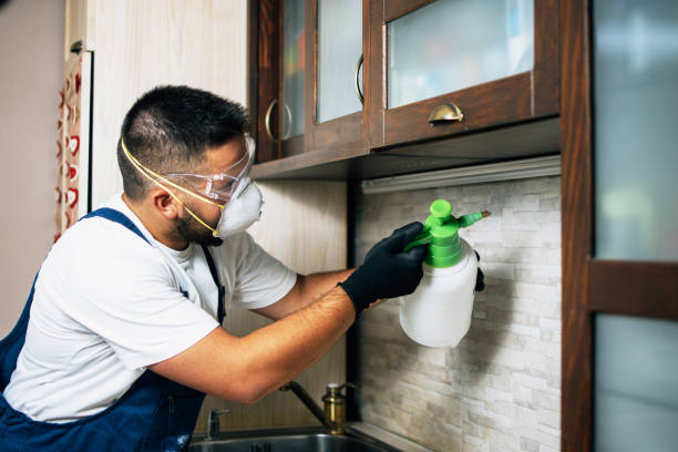 Best Best Pest Control Companies  in Middlebury, IN