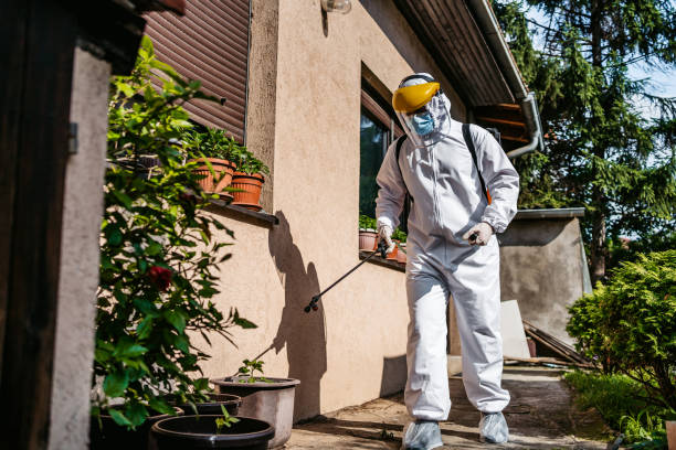 Best Local Pest Control Services  in Middlebury, IN