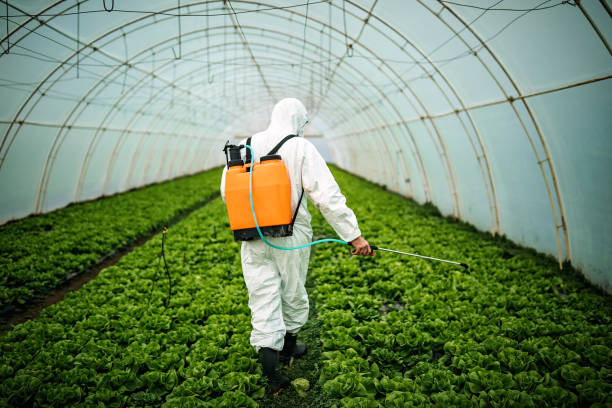Best Local Pest Control Services  in Middlebury, IN