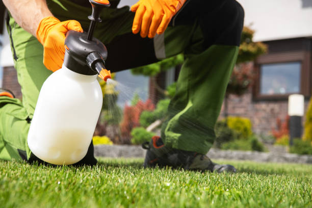 Best Pest Control Near Me in Middlebury, IN