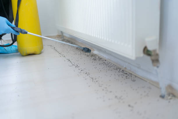 Best Pest Control Near Me  in Middlebury, IN