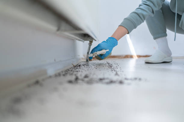 Best Exterminator Services  in Middlebury, IN